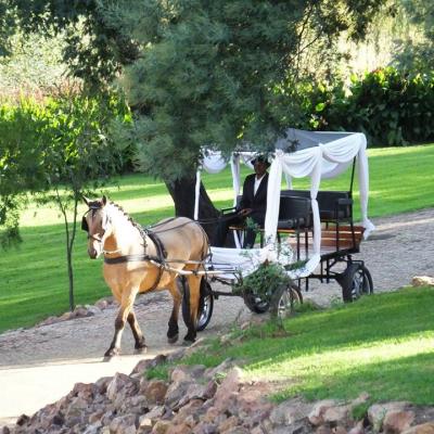 30595318 1890868360925962 2249026450223005696 N