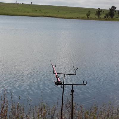 116336534 1682768798537401 2253954153499702730 N